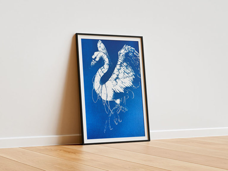 Cha-le-plumet-A3-&-50x70cm---SWAN-1